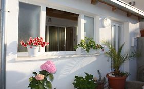 Apartment Anand